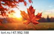horizon sun color panorama close ai generated. Стоковое AI-изображение, AI-художник Vectorwin / Фотобанк Лори