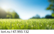 rural grass blue morning sunlit ai generated. Стоковое AI-изображение, AI-художник Vectorwin / Фотобанк Лори