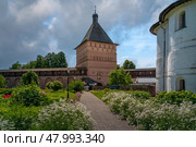 View of the Main Passage tower and the fortress wall with the gallery of the Spaso-Evfimiev Monastery on a sunny summer day, Suzdal, Vladimir region, Russia. Стоковое фото, фотограф Ula Ulachka / Фотобанк Лори