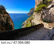 Capri island, Italy. Стоковое фото, фотограф Anastasy Yarmolovich / Фотобанк Лори