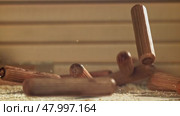 Wooden fasteners fall on the table. Filmed on a high-speed camera at 1000 fps. Стоковое видео, видеограф Артем Шадрин / Фотобанк Лори
