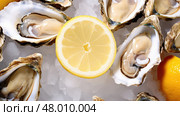 scallops shellfish seafood food oysters ai generated. Стоковое AI-изображение, AI-художник Vectorwin / Фотобанк Лори