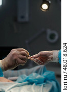 Assistant passing scalpel to surgeon. Стоковое фото, фотограф Dmitriy Shironosov / PantherMedia / Фотобанк Лори