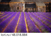 Abbey Senanque and Lavender field, France (2015 год). Стоковое фото, фотограф Anastasy Yarmolovich / Фотобанк Лори