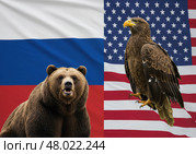 Российский медведь и американский орел на фоне национальных флагов России и США. Концепция отношений и конфликтов между двумя странами. Символ международной политики. Стоковое AI-изображение, AI-художник Анжелика Самсонова / Фотобанк Лори