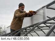 Covering the metal frame of the greenhouse with cellular polycarbonate. A man bolts self-tapping screws and screwdriver fastens polycarbonate to the frame of the upper windows. Стоковое фото, фотограф Роман Дзюбало / Фотобанк Лори