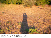 Shadow of a man on the grass. Long reflection of a woman on a beveled yellow field. Стоковое фото, фотограф Коханова Наталья / Фотобанк Лори