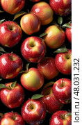 Vibrant assortment of red apples displaying freshness on a black background. Стоковое AI-изображение, AI-художник Анастасия Пальчикова / Фотобанк Лори
