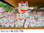 Tokyo, Japan - Sep 30 2024, A close-up view of many multi-sized white beckoning cat figure of Maneki neko with red ears and noses displayed at Gotokuji Temple, without people, at daytime, Tokyo, Japan. Стоковое фото, фотограф Сергей Богомяко / Фотобанк Лори