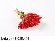 Fresh red chili peppers. Стоковое фото, фотограф Alena Dvorakova / PantherMedia / Фотобанк Лори
