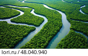 biodiversity mangrove forest landscape ai generated. Стоковое AI-изображение, AI-художник Vectorwin / Фотобанк Лори