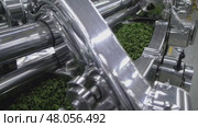 Industrial machinery processing tea leaves in a factory. Стоковое AI-видео, аниматор Юрий Поздников / Фотобанк Лори