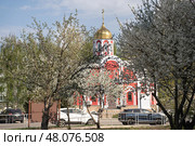 Spring landscape with blooming trees in front of architecture red church and parking lot. Храм Рождества Иоанна Предтечи, пгт Северный, Белгородская область. Стоковое фото, фотограф irisff / Фотобанк Лори