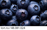 glisten berry blueberry blue ai generated. Стоковое AI-изображение, AI-художник Vectorwin / Фотобанк Лори
