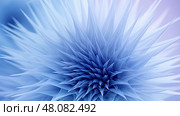 stage blue thistle ai generated. Стоковое AI-изображение, AI-художник Vectorwin / Фотобанк Лори