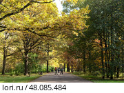Россия, Москва, Ботанический сад им. Цицина, 30.09.2020: Молодые люди катаются на роликах в солнечный осенний день. Редакционное фото, фотограф Татьяна Васильева / Фотобанк Лори