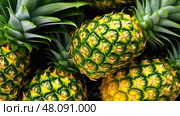 delicious pineaple pineapple fruit ai generated. Стоковое AI-изображение, AI-художник Vectorwin / Фотобанк Лори