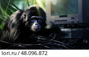 conservation black howler monkey ai generated. Стоковое AI-изображение, AI-художник Vectorwin / Фотобанк Лори