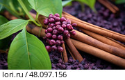 drupes cinnamon plant ai generated. Стоковое AI-изображение, AI-художник Vectorwin / Фотобанк Лори