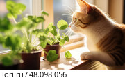 pot catnip plant ai generated. Стоковое AI-изображение, AI-художник Vectorwin / Фотобанк Лори