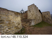 Изборская крепость. Псковская область. Стоковое фото, фотограф Руслан Лесков / Фотобанк Лори