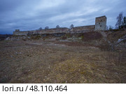 Изборская крепость. Псковская область. Стоковое фото, фотограф Руслан Лесков / Фотобанк Лори