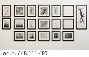 display black matted frame ai generated. Стоковое AI-изображение, AI-художник Vectorwin / Фотобанк Лори