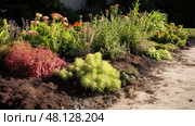 garden nitrogen in soil ai generated. Стоковое AI-изображение, AI-художник Vectorwin / Фотобанк Лори
