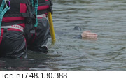 3 may 2025, Lisbon. Portugal - Traininh - Rescuers recovering person in water using reach pole. Редакционное видео, видеограф Константин Шишкин / Фотобанк Лори