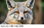 stealth grey fox ai generated. Стоковое AI-изображение, AI-художник Vectorwin / Фотобанк Лори