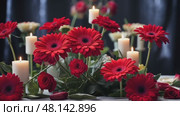 A tribute table at a remembrance service, elegantly decorated with vibrant red roses and gerbera daisies on a dark velvet background, evoking solemnity and beauty. Стоковое AI-видео, аниматор Ирина Старикова / Фотобанк Лори