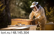 hive beekeeping equipment ai generated. Стоковое AI-изображение, AI-художник Vectorwin / Фотобанк Лори