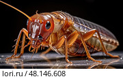 exoskeleton brown roach ai generated. Стоковое AI-изображение, AI-художник Vectorwin / Фотобанк Лори