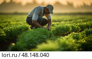 agriculture agronomy oranic farm ai generated. Стоковое AI-изображение, AI-художник Vectorwin / Фотобанк Лори