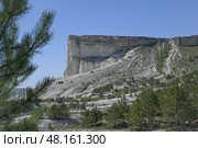 Белая скала Ак-Кая в Белогорском районе Крыма. Стоковое фото, фотограф Snezka / Фотобанк Лори