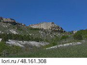 Крымская скала - куэста в районе Белогорска. Стоковое фото, фотограф Snezka / Фотобанк Лори
