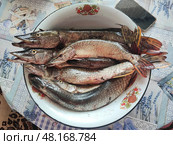 Улов, щука. После утренней рыбалки в Алтайском крае на реке Исток, 5кг рыбы. Catch, pike. After morning fishing, 5kg of fish. 抓住，派克。 早上钓鱼后，5公斤鱼. Стоковое фото, фотограф Денис Баданин / Фотобанк Лори