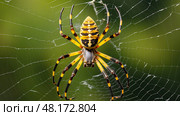 male yellow garden spider ai generated. Стоковое AI-изображение, AI-художник Vectorwin / Фотобанк Лори