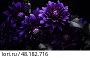 eggplant dark purple flowers ai generated. Стоковое AI-изображение, AI-художник Vectorwin / Фотобанк Лори