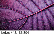 patterns ipomoea sweet potato ai generated. Стоковое AI-изображение, AI-художник Vectorwin / Фотобанк Лори