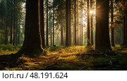 therapeutic cedarwood essential oil ai generated. Стоковое AI-изображение, AI-художник Vectorwin / Фотобанк Лори
