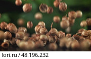 The coriander falls on the table. Filmed on a high-speed camera at 1000 fps. Стоковое видео, видеограф Артем Шадрин / Фотобанк Лори