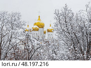 Зимний пейзаж. Вид на заснеженные деревья и собор. Холодная снежная зимняя погода. Снег на деревьях и золотых куполах. Русская православная церковь в Сибири и на Дальнем Востоке России. Свято-Троицкий собор, город Магадан, Магаданская область, Россия. Стоковое фото, фотограф Андрей Степанов / Фотобанк Лори