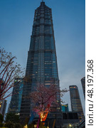 Shanghai, China – 1 April 2025: Vertical night shot of Jin Mao Tower glowing against dark sky, surrounded by sakura blossoms and illuminated butterfly installations. Редакционное фото, фотограф Татьяна Терехина / Фотобанк Лори