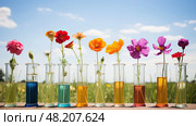 flavonoids plant chemistry ai generated. Стоковое AI-изображение, AI-художник Vectorwin / Фотобанк Лори