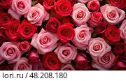 petals pink and red roses ai generated. Стоковое AI-изображение, AI-художник Vectorwin / Фотобанк Лори