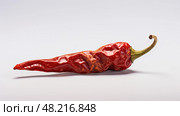 shriveled spicy pepper isolated ai generated. Стоковое AI-изображение, AI-художник Vectorwin / Фотобанк Лори