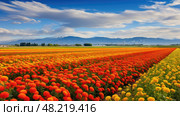 bloom safflower oil ai generated. Стоковое AI-изображение, AI-художник Vectorwin / Фотобанк Лори
