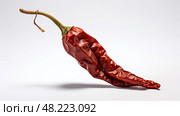wrinkled spicy pepper isolated ai generated. Стоковое AI-изображение, AI-художник Vectorwin / Фотобанк Лори