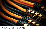 cat networking cable ai generated. Стоковое AI-изображение, AI-художник Vectorwin / Фотобанк Лори